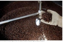 Asia Coffee: Vietnam traders cut output forecast by 10 percent