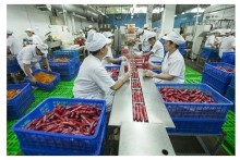 Foreign investors pour more money into food processing and drinks industry
