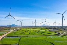 Renewable energy developers want temporary buying price of 6 cents per kWh