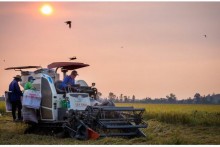 Vietnam growth among Asia’s highest despite Covid-19 slump: ADB