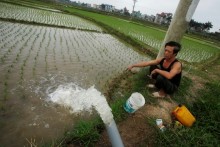 Lack of technology, business savvy blamed for Vietnam's low-value farm exports