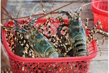 Trung Quốc miễn thuế cho 33 mặt hàng thủy sản của Việt Nam