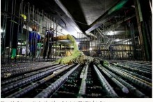 Hàng loạt đại gia xây dựng thất thu trong mùa dịch