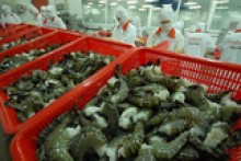 Xuất khẩu tôm sang Anh tăng đột biến