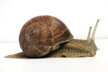 Construction downturn is steepest for seven years