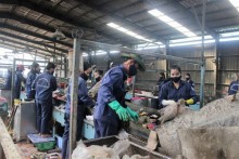 Làm gì để nâng cao chất lượng công tác vệ sinh môi trường đô thị