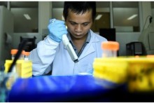 Mosquito trials raise hopes of defeating dengue