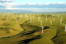 Gia Lai: Khởi công 2 dự án điện gió quy mô lớn