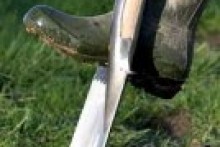 Construction bounce-back shows resilience