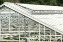 Australia to get million-square-foot cannabis greenhouse