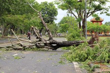 Central Vietnam braces for torrential downpours