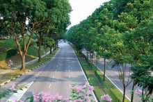 Không gian xanh với những giá trị trong cuộc sống đô thị ngày nay