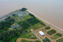 Flamingo đánh thức tiềm năng du lịch biển Hải Tiến