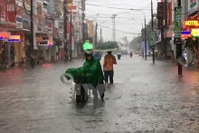 Các tỉnh từ Quảng Ngãi đến Ninh Thuận có mưa to, lũ đang lên