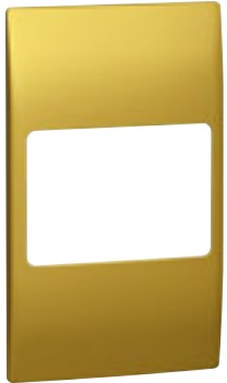 BRASS PLATE 2 GANG 45A SWITCH