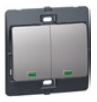 DARKM 2G 2W 10A SWITCH C/W P