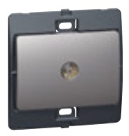 DARKM TV FEMALE TERMINAL