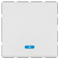 6A PUSH BUTTON IND 2W2M MG AR